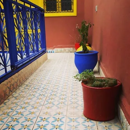Mosaic Hostel-3